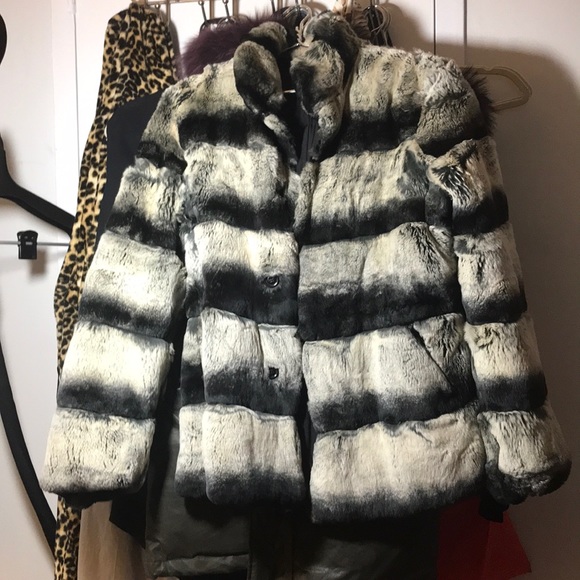 Reversible rex jacket - Picture 3 of 3